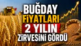 Buğday fiyatları 2 yılın zirvesini gördü