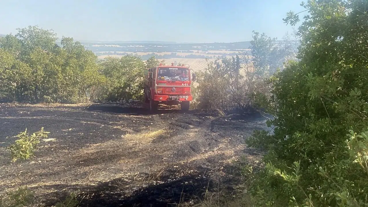 Eskişehir'deki Yangında Hayvanlar da Zarar Gördü