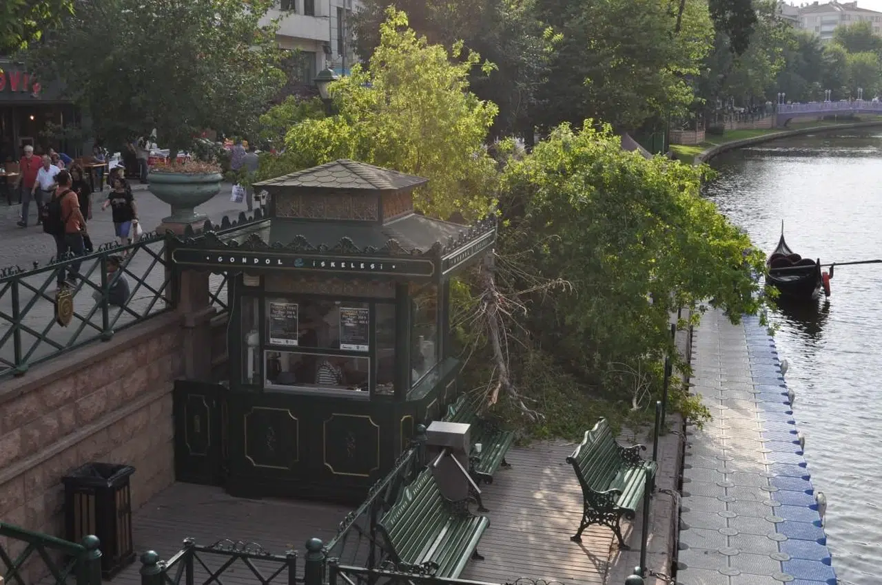 Eskişehir'de Rüzgar ile Ağaçlar Devrildi