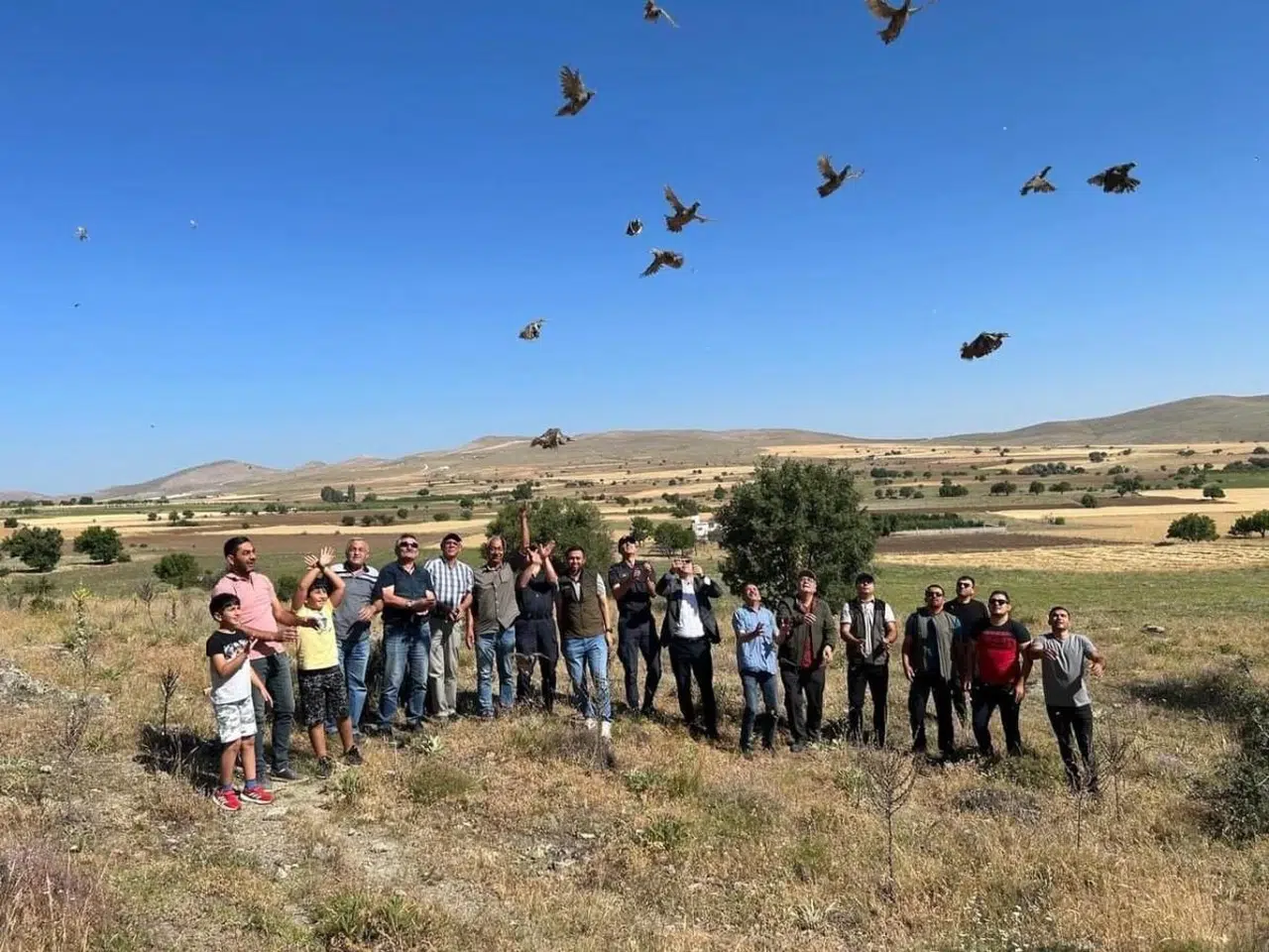 Eskişehir'de 600 Kınalı Keklik Doğaya Salındı