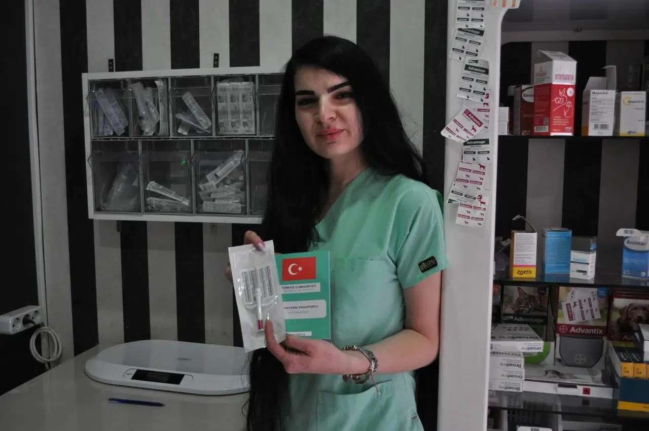 Eskişehir'de Veteriner'den Evcil Hayvan ile Seyahat Konusu