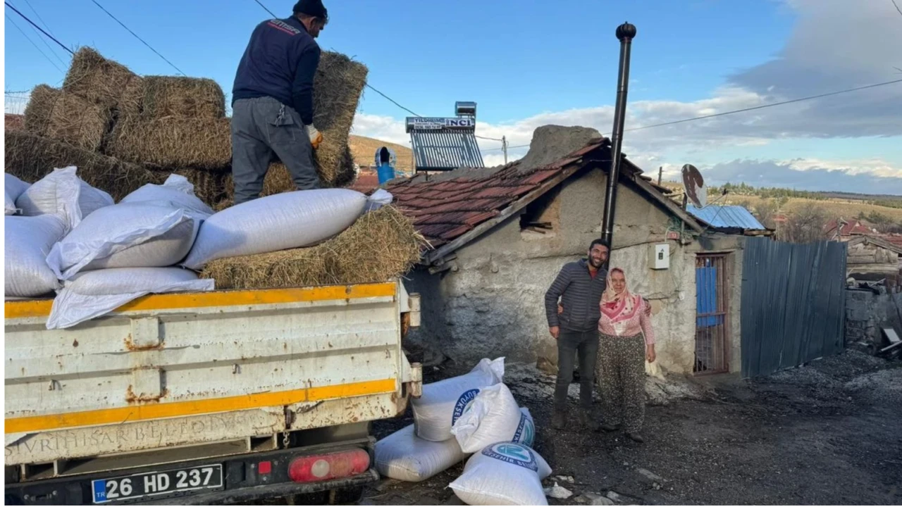 Eskişehir Büyükşehir Belediyesi’nden Sivrihisarlılara Yem Desteği!