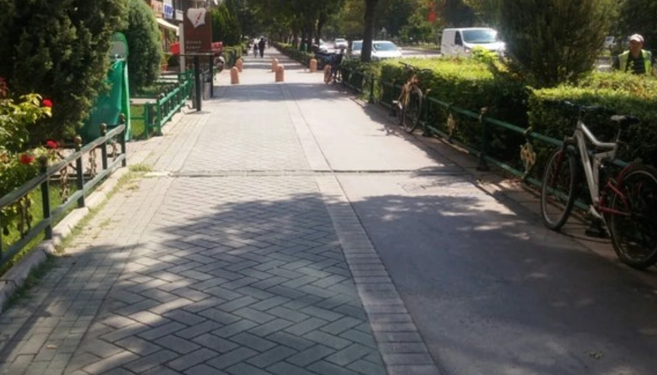 Eskişehir'in O Caddesi'nde Budama Çalışması Yapılacak