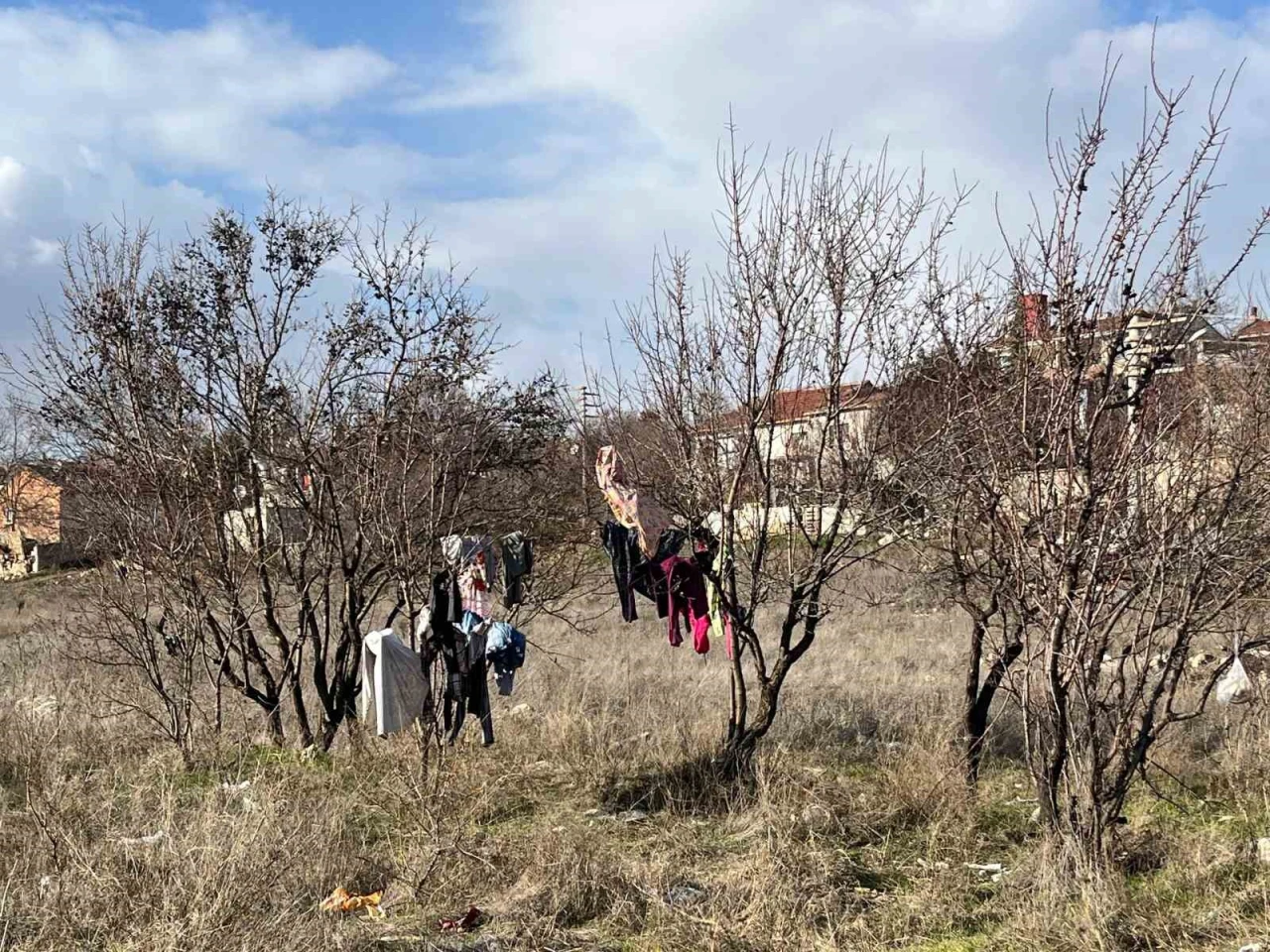 Sıcak Hava Sebebiyle Ağaca Asılan Elbiseler Şaşırttı!