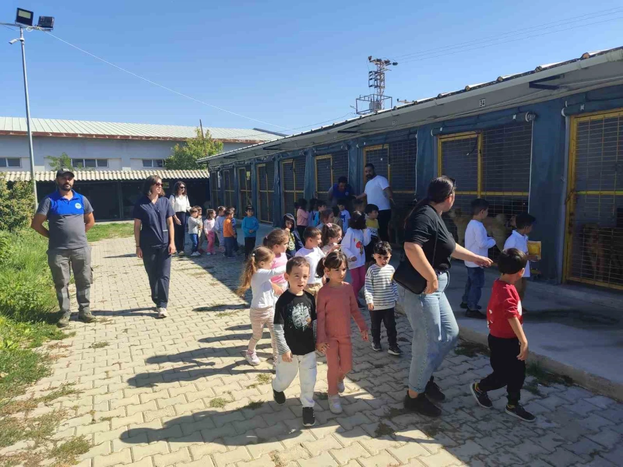 Kreş öğrencileri Sahipsiz Sokak Hayvanları Bakım Merkezi'ni Ziyaret Etti