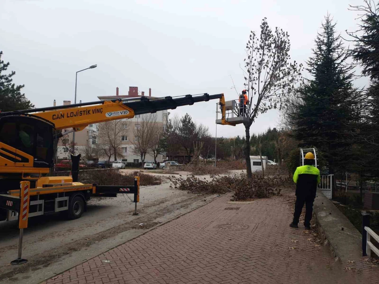 Odunpazarı Belediyesi Park ve Bahçelerde Yenileme Çalışmalarına Başladı