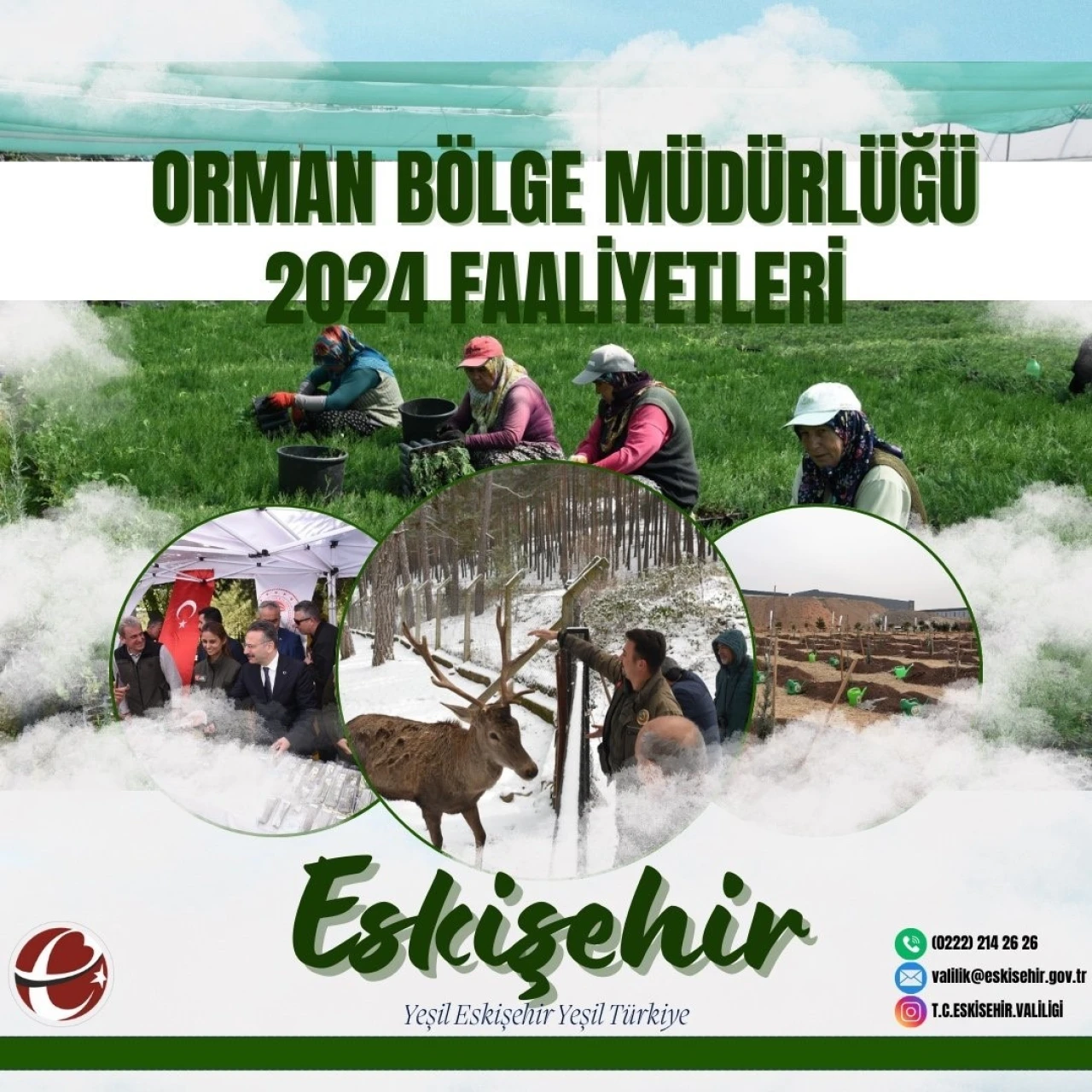 Eskişehir Orman Bölge Müdürlüğü 2024'te 26 Orman Yangınına Müdahale Etti!