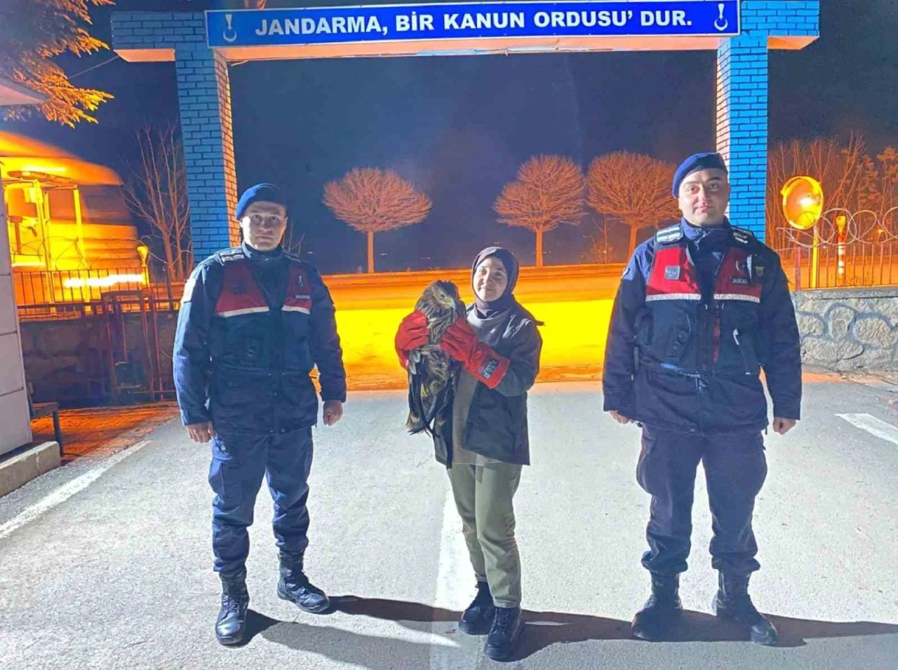 Eskişehir'de Bulunan Yaralı Kızıl Şahin Jandarma Tarafından Tedavi Altına Alındı