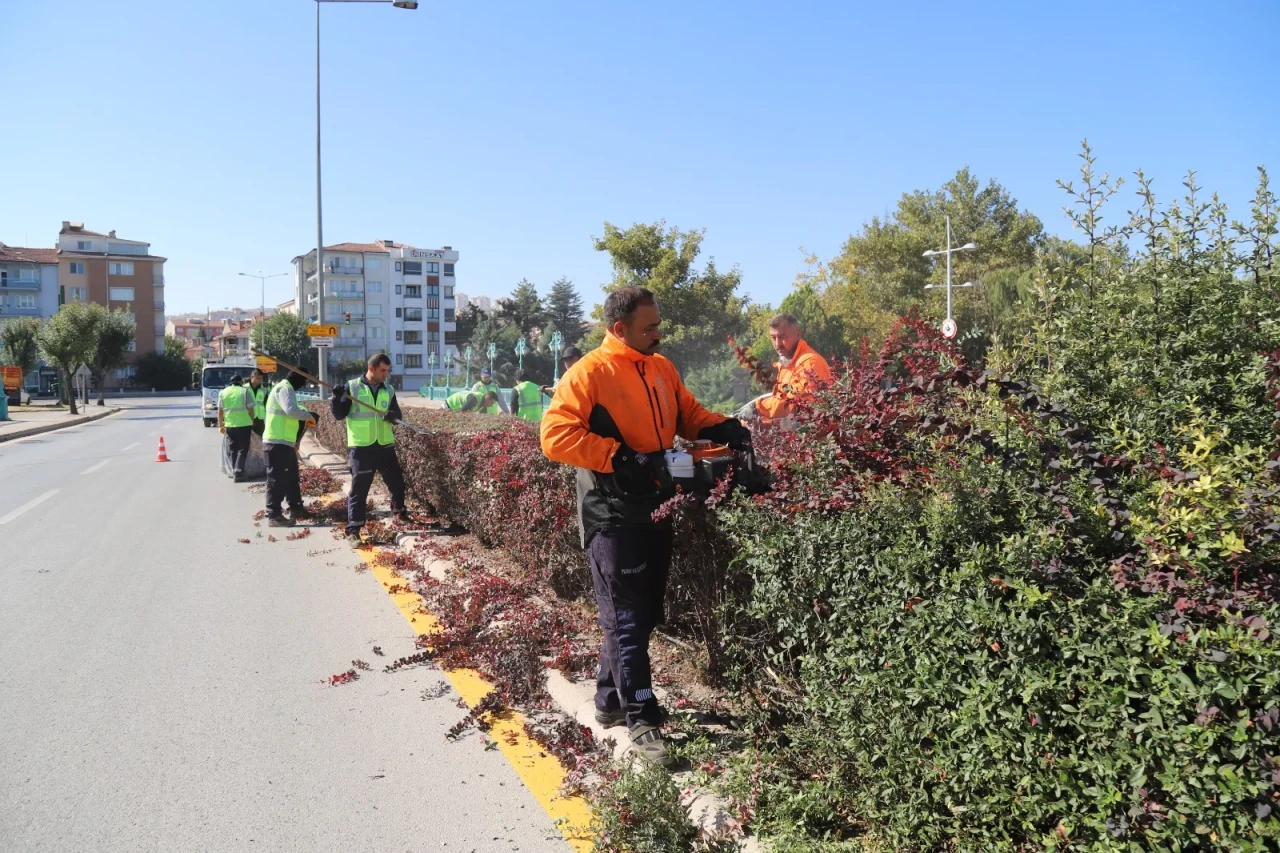 Eskişehir'de Budama Çalışmaları Hız Kesmeden Sürüyor