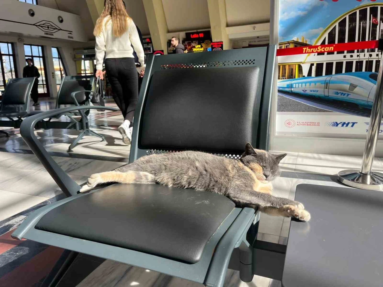 Sevimli Patili Misafir, Tren Garı Koltuğunda Güneş Keyfi Yaptı