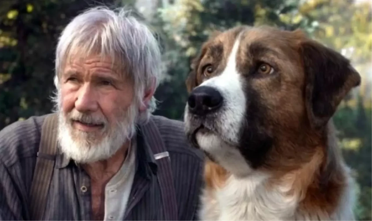 Vahşetin çağrısı köpek gerçek mi, yapay zeka mı?