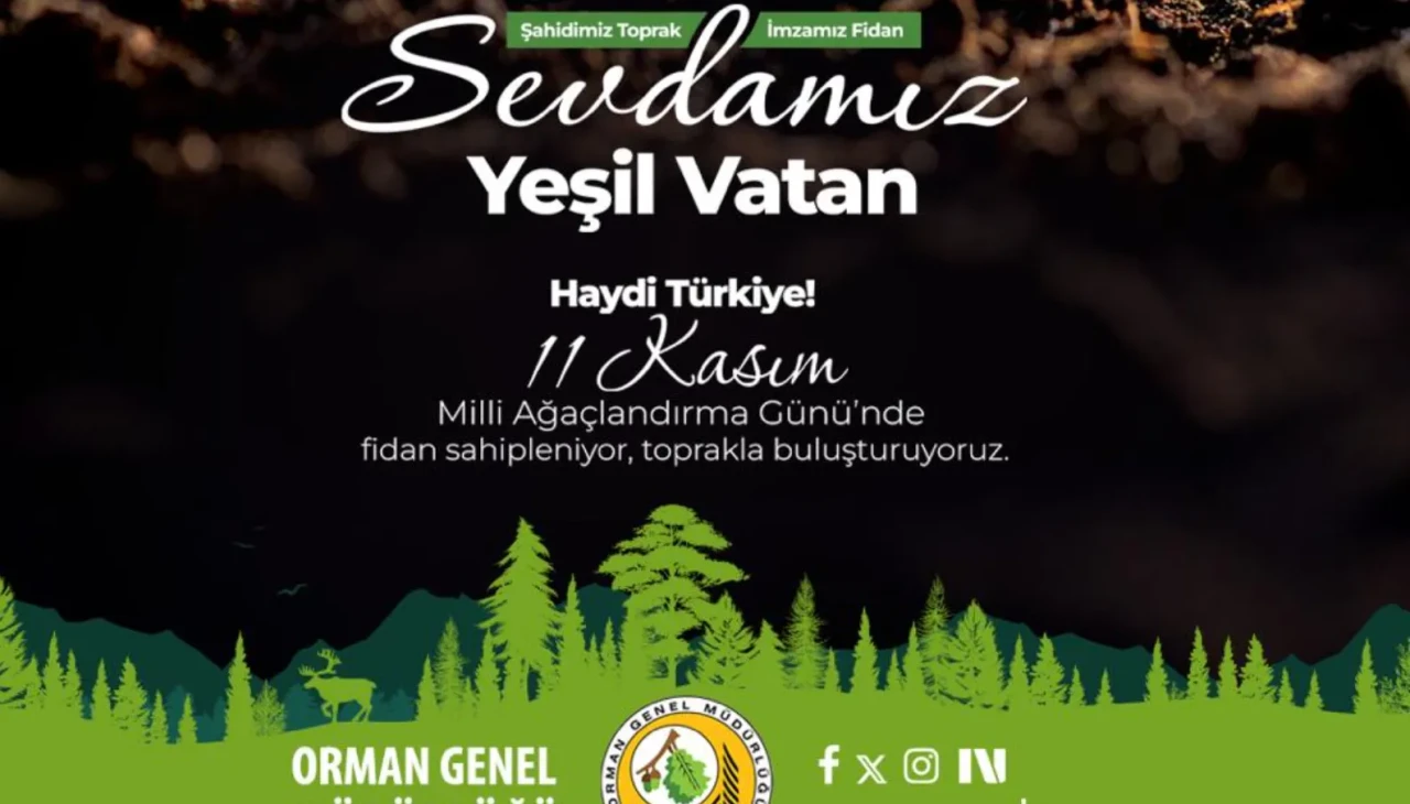 11 Kasım’da Eskişehir ve Afyonkarahisar’da 436 bin fidan toprakla buluşacak