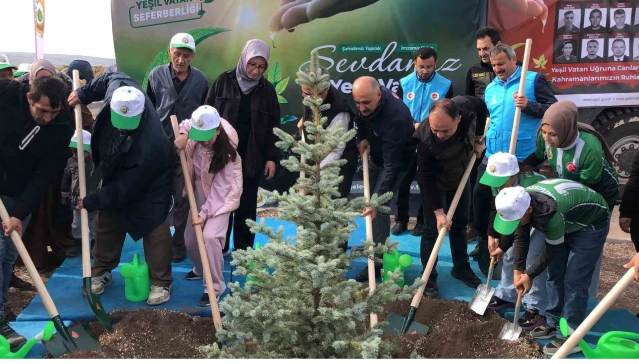 Orman şehidi Eyüp Dereli’nin adına oluşturulan alana 15 bin fidan dikildi