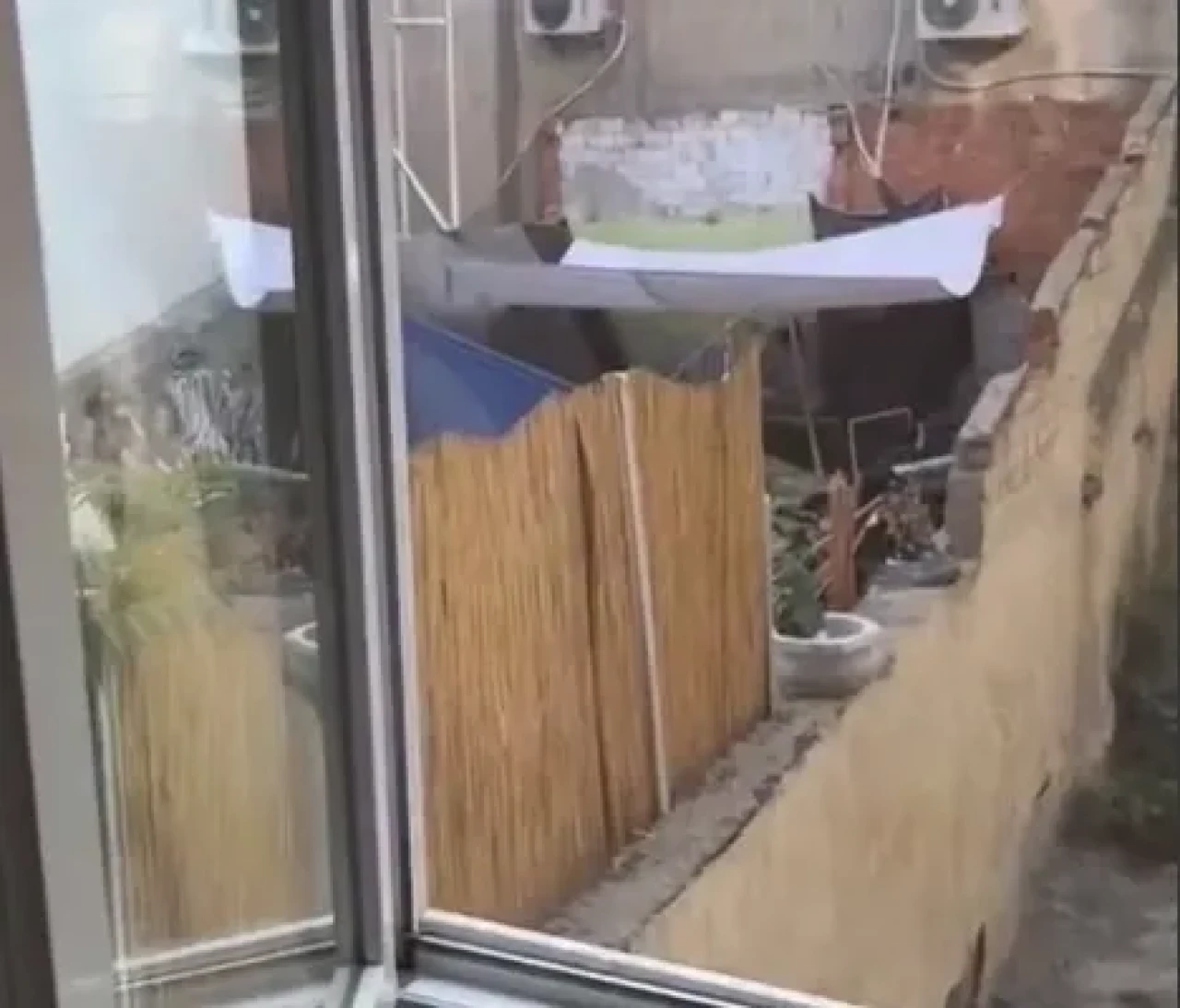 Köpeğe şiddet görüntülerine hızlı müdahale: Şüpheli gözaltına alındı