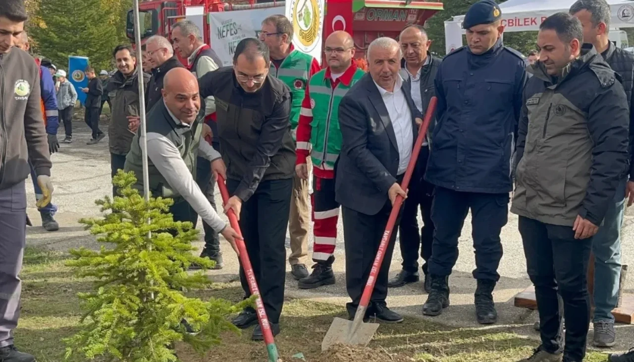 Tunçbilek’te Milli Ağaçlandırma Günü'nde 2 bin adet karaçam fidanı dikildi