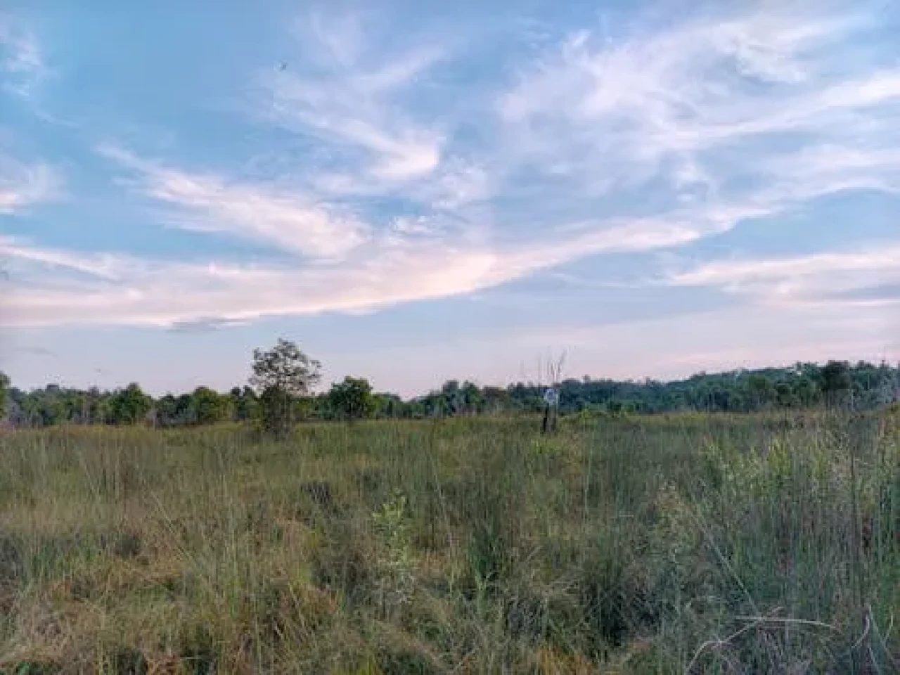 SGK, Eskişehir’de 4 Taşınmazı Satışa Çıkarıyor