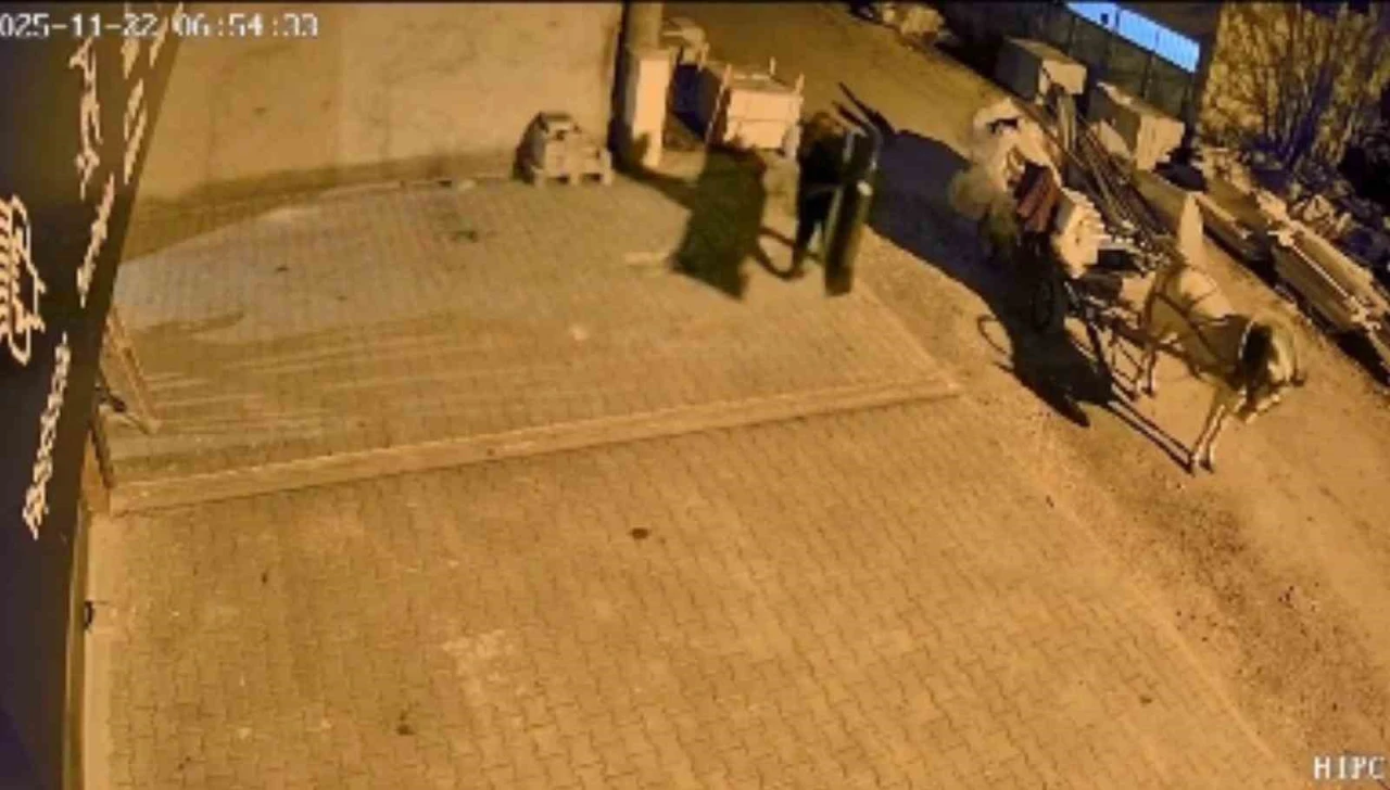 At arabalı hırsızlar aynı gün içinde yakalandı