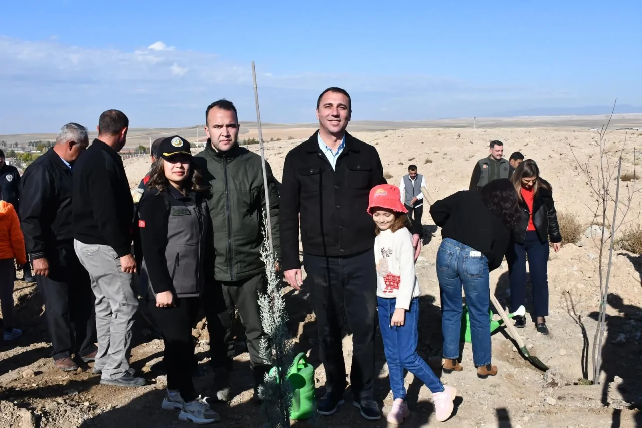 Beş bin fidan Beylikova’da toprakla buluştu