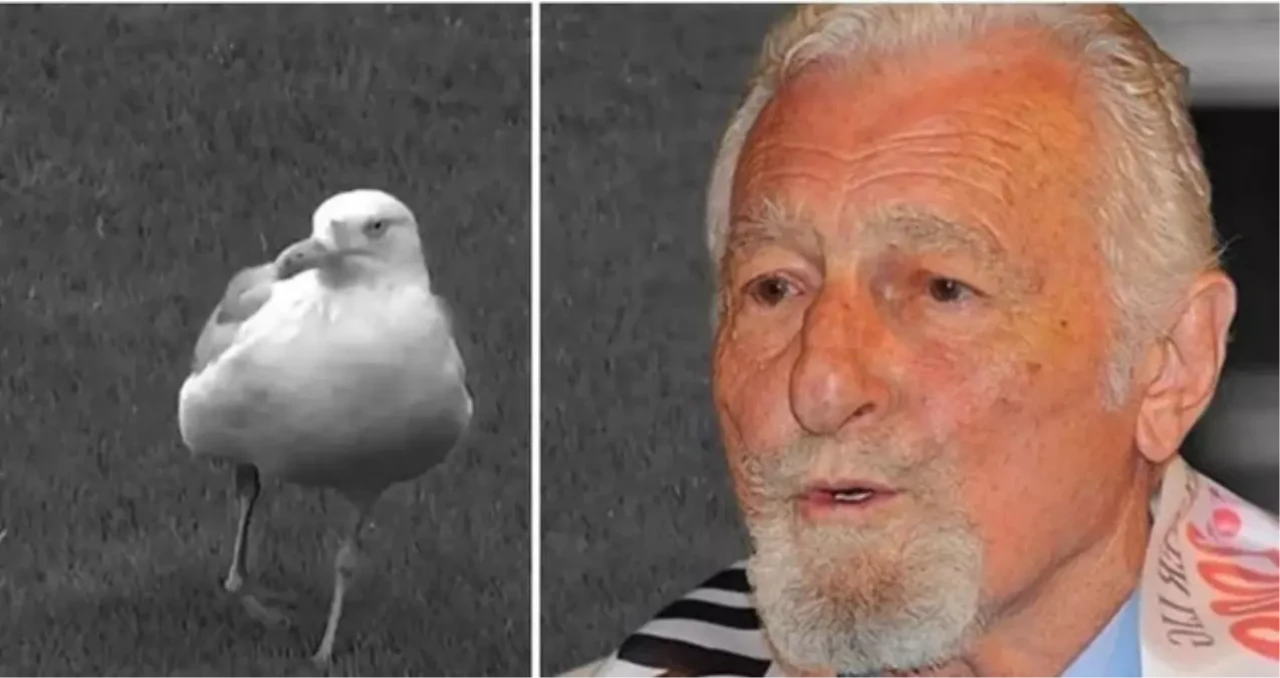 Süleyman Saba martı sözü gerçek mi yoksa kurgu mu?