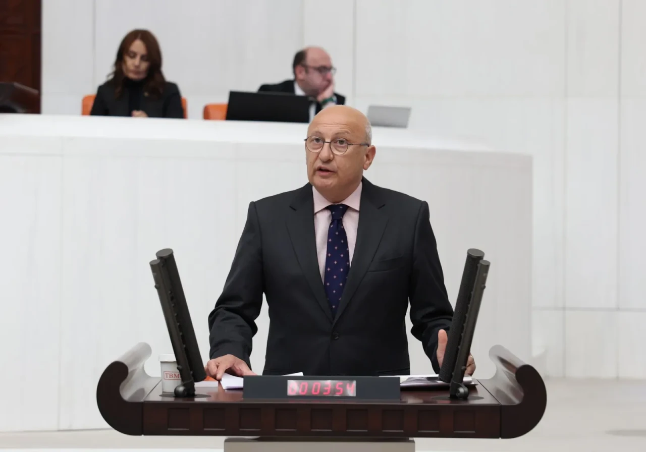 Alpu Ovası’nda tarlada kalan 40 bin ton soğan Meclis gündeminde