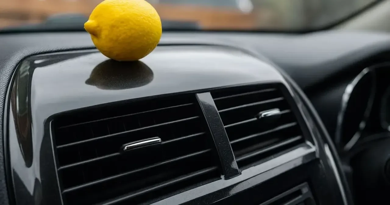 Sonbaharda Arabaya Limon Koymak Neden Bu Kadar Önemli? Uzmanlar Açıkladı!