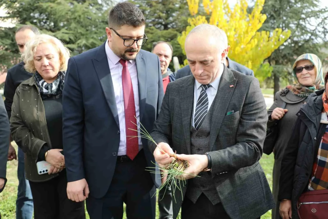 Eskişehir Safran Üretiminde Birincilik Yolunda