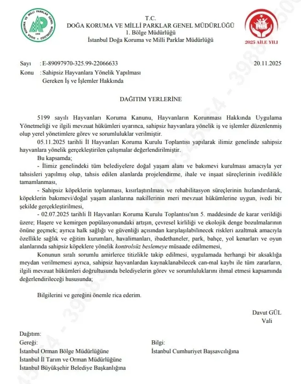 İstanbul Belediyesi’ne Yeni Talimat: Sokak Hayvanlarına Kontrolsüz Besleme Yasaklandı