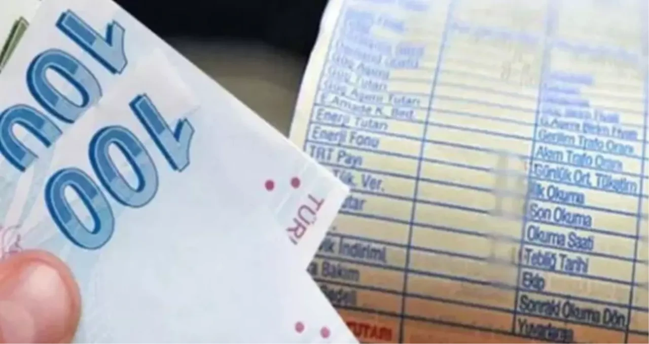 Faturalarda devlet desteği nasıl alınır? Elektrik faturasında devlet desteği kimlere, hangi abonelere veriliyor?