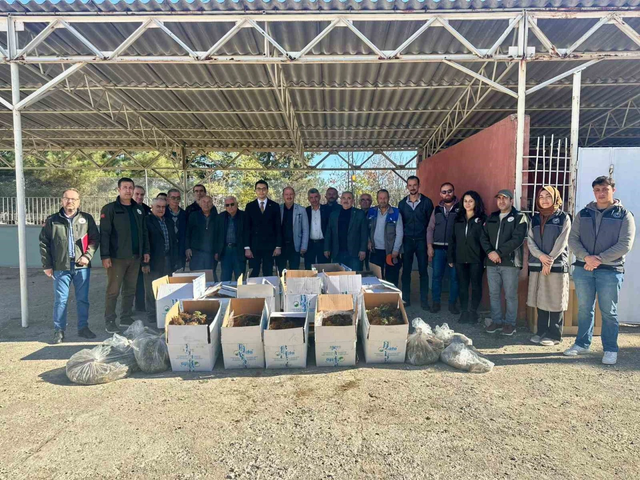 Pazaryeri’nde 42 Bin ’Albion’ Çilek Fidesi Üreticilere Dağıtıldı