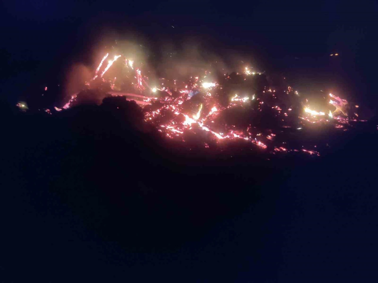 Bilecik’te Kontrollü Yakma Yangına Dönüştü