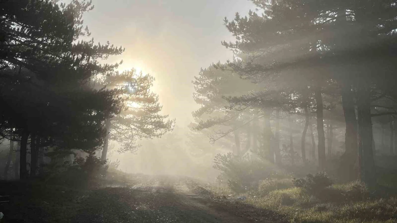 Bozdağ’da Sabah Sisi Kartpostallık Görüntüler Oluşturdu