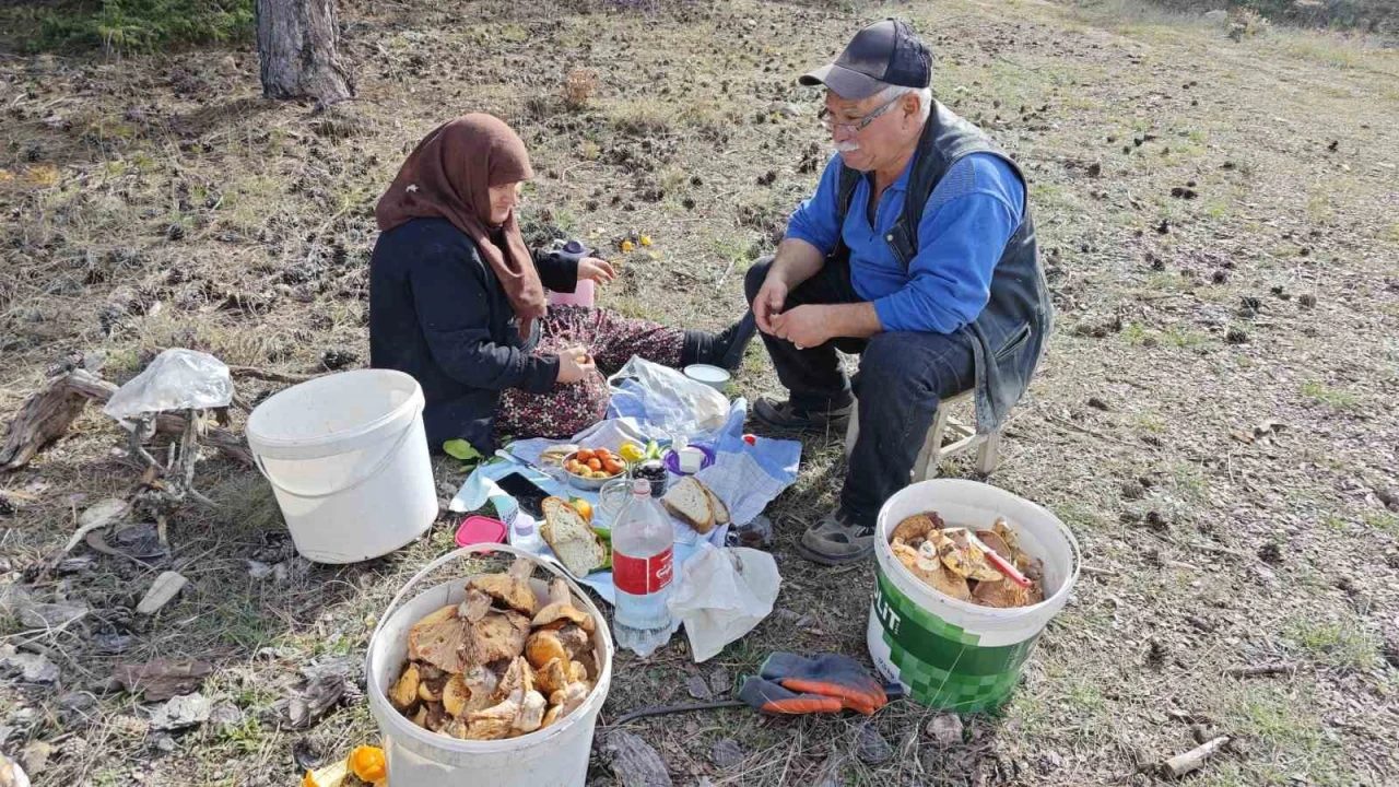 Hisarcık’ta yaşlı çiftin dağda başlayan mantar mesaisi
