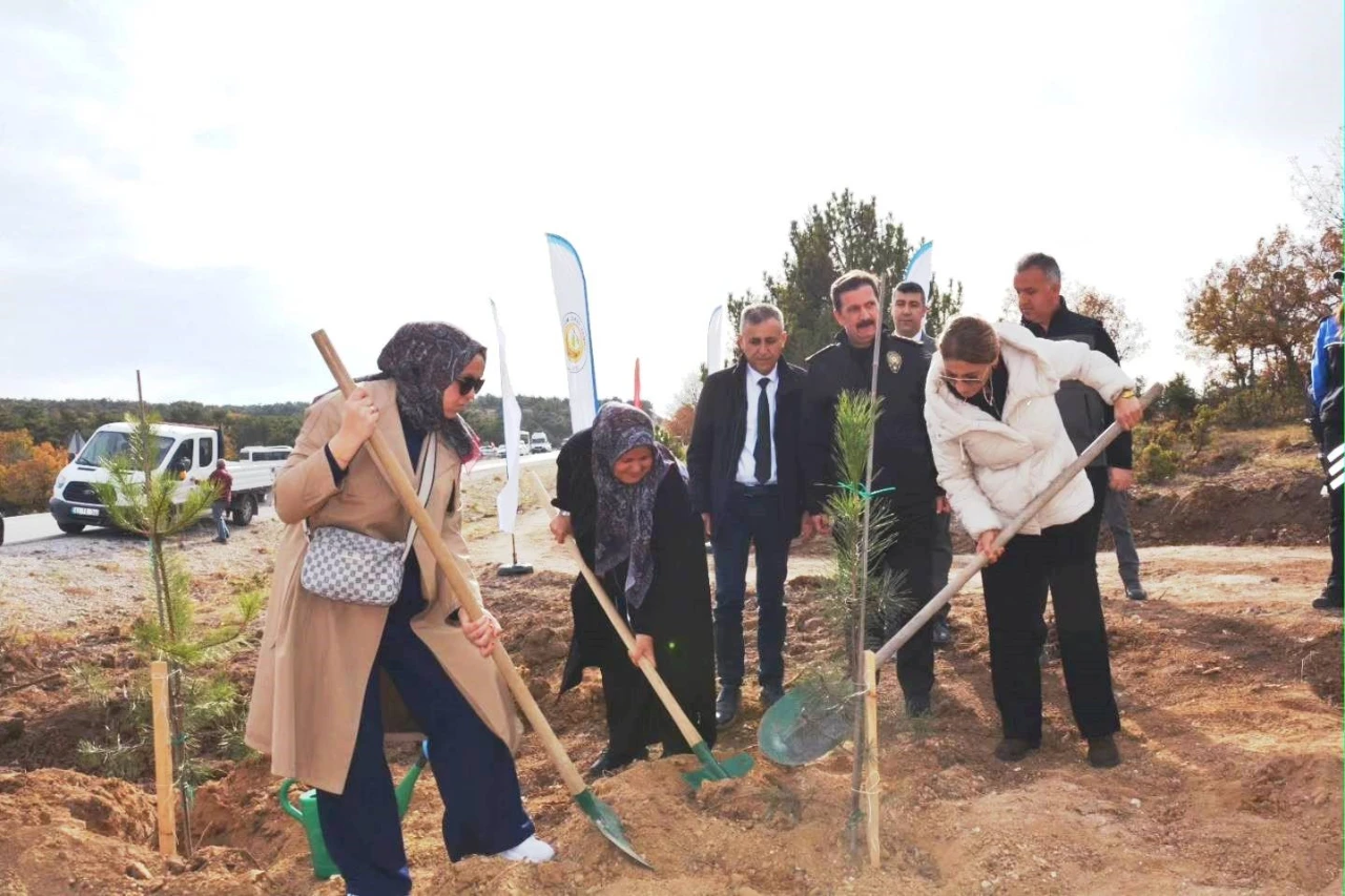 Şehitler anısına 350 fidan dikildi