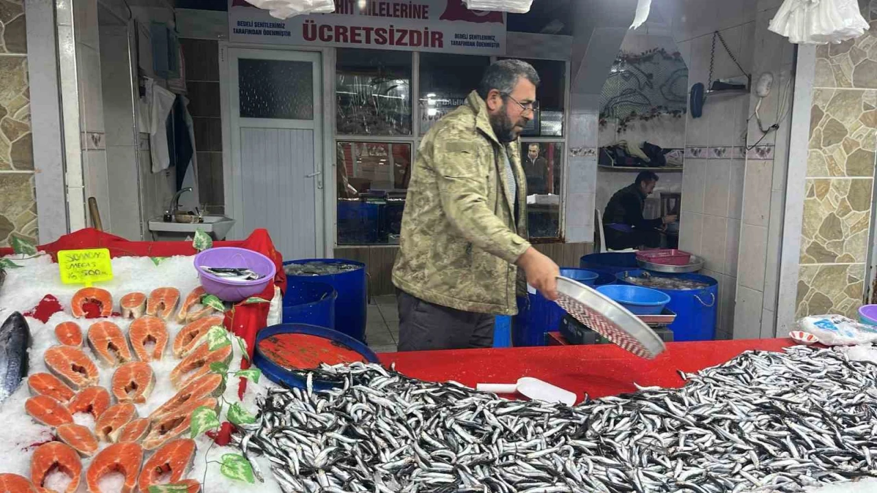 Balık pazarında hamsi revaçta