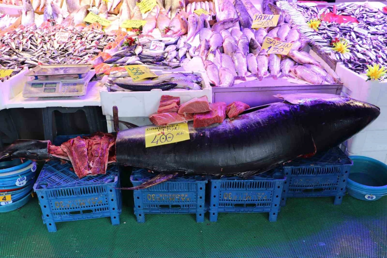 Eskişehir’de Tezgaha Çıkan 280 Kiloluk Orkinos Şaşkınlık Yarattı