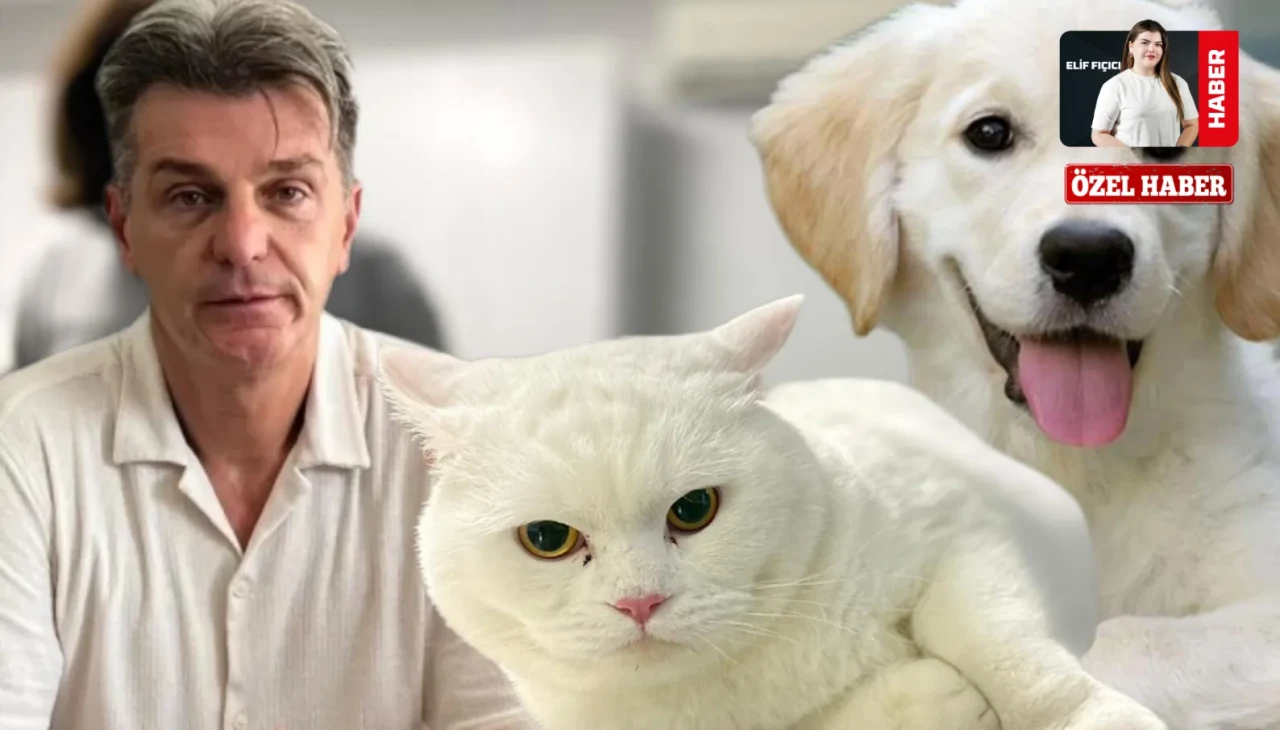 Mikroçip İçin Son Tarih Yaklaşıyor: Cezasız Kayıt Fırsatı İçin Son Günler