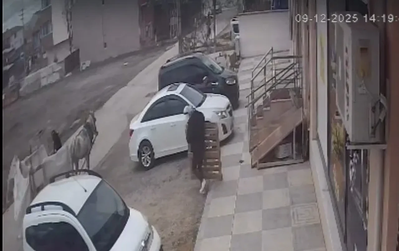 Eskişehir’de at arabasıyla hırsızlık kameraya yakalandı