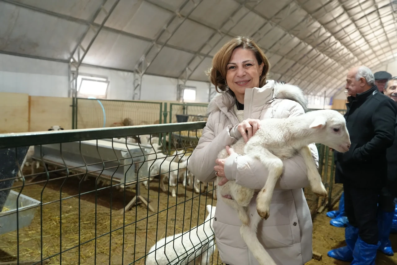 Eskişehir'de Hayvancılar ve Arıcılar İçin Müjde! Başvurular Başladı