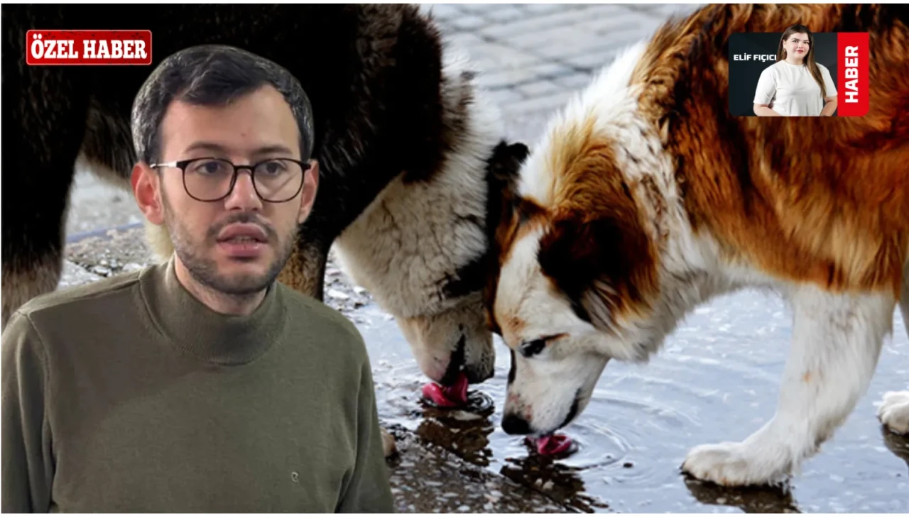 Kamuoyunu İkiye Bölen Düzenleme AYM’den Onay Aldı: Şimdi Ne Olacak?