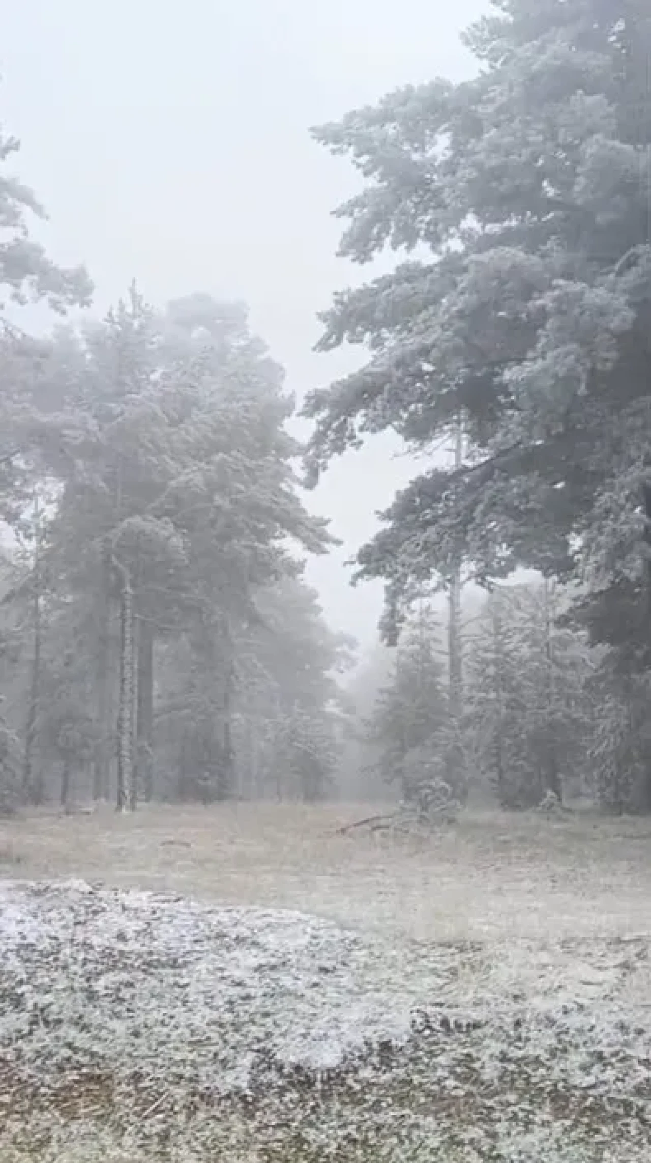 Eskişehir’e Mevsimin İlk Karı Düştü: Mihalıççık Beyaza Büründü