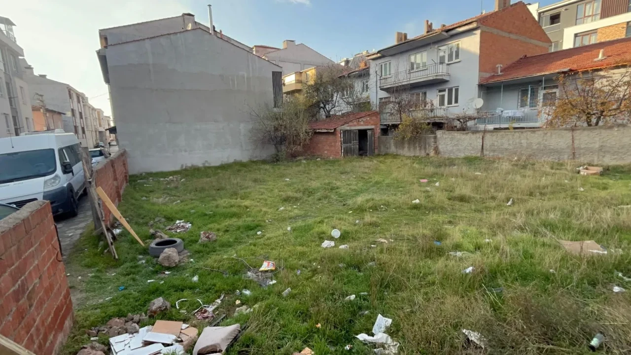 Eskişehir’de Boş Arsada Vahşet! 8 Kedi Katledildi