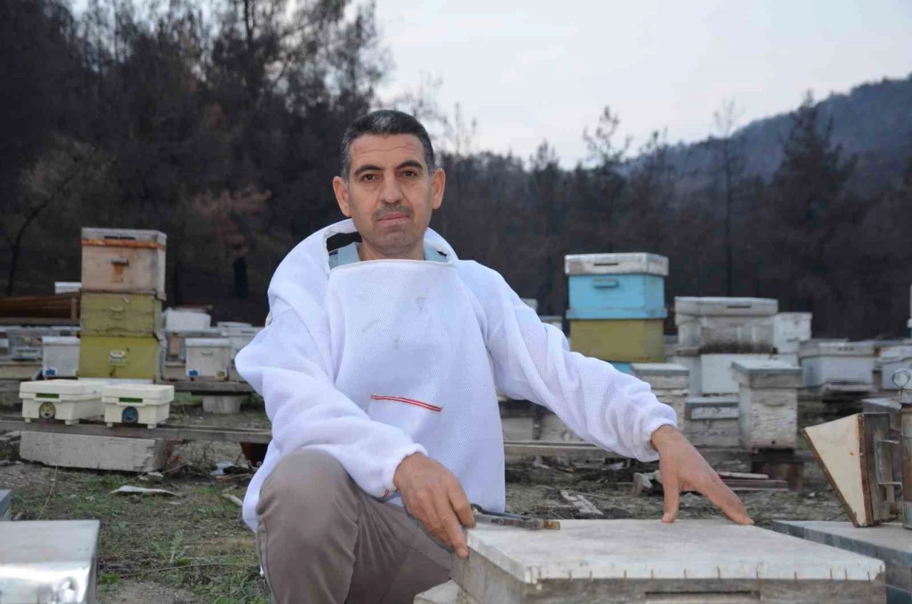 Hobi Olarak Başladı, Türkiye’nin Ana Arı Tedarikçilerinden Biri Oldu