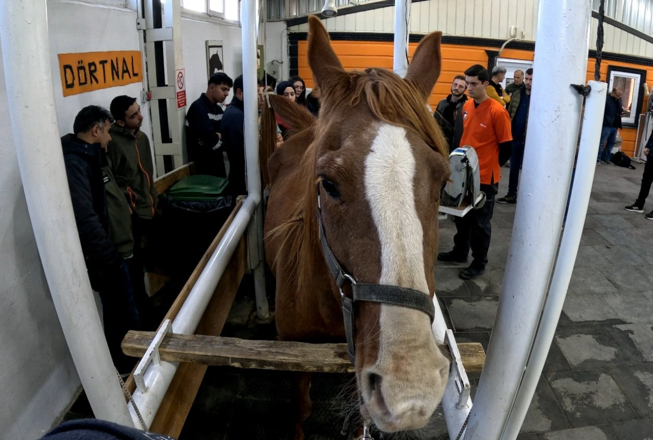 Eskişehir’de kısraklarda suni tohumlama eğitimi tamamlandı
