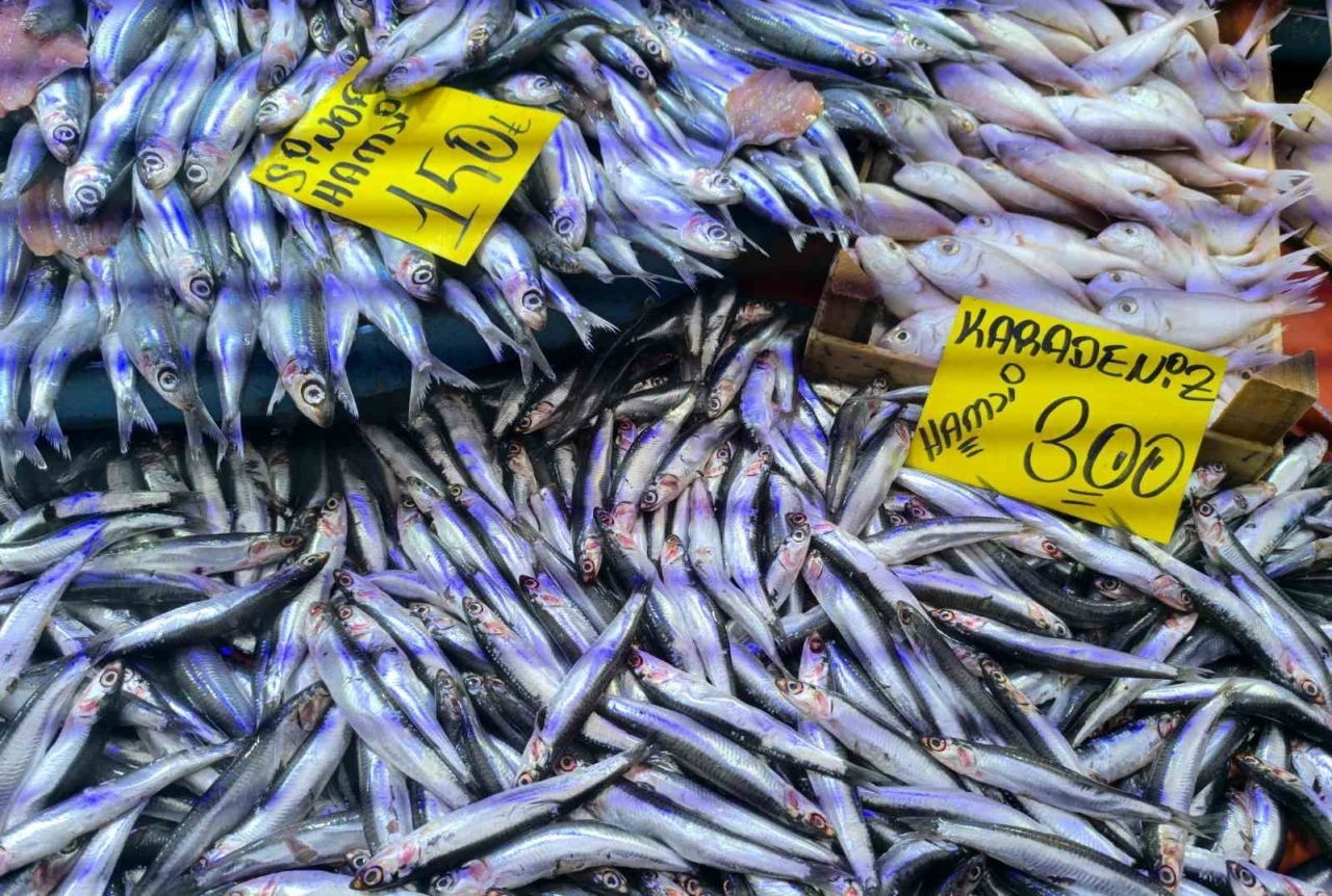 Balık Tezgâhları Soğuk Havayla Bereketlendi