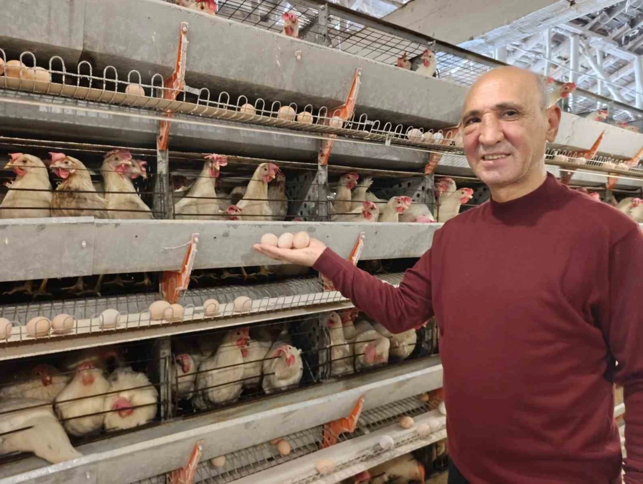 Kuşu’da dev yumurta hamlesi: 16 bin tavukluk tesiste günlük 15 bin yumurta üretimi başladı