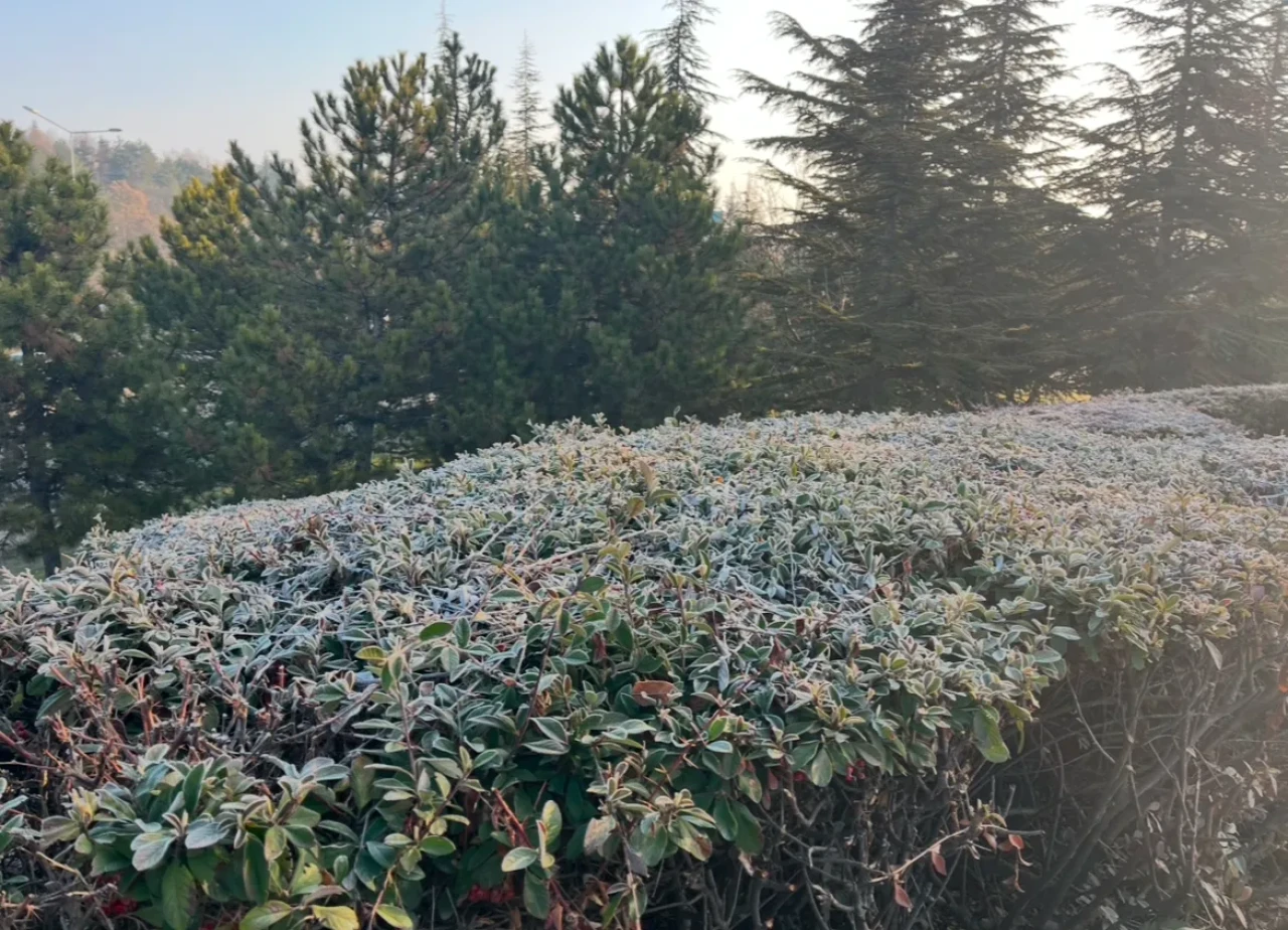 Eskişehir Kırağı İle Uyandı