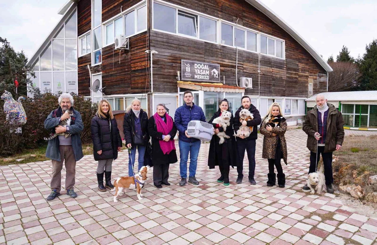 Tepebaşı Belediyesi Doğal Yaşam Merkezi'nde 57 Sokak Hayvanı Sıcak Yuvalara Kavuştu