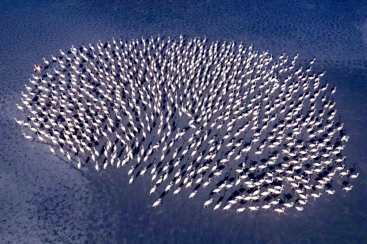 Eskişehirli Fotoğraf Sanatçısı Gümüş Madalya Kazandı