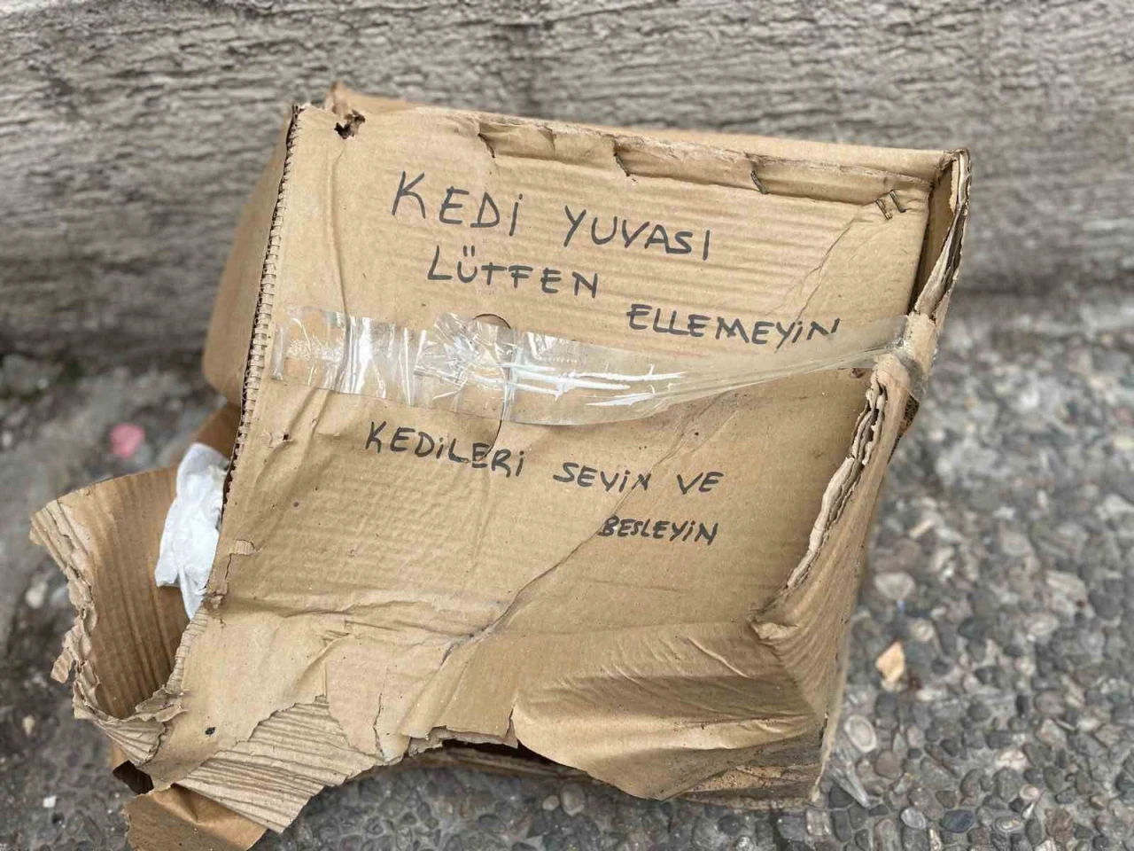 ‘Lütfen Ellemeyin’ notu da fayda etmedi, kedi yuvası tahrip edildi