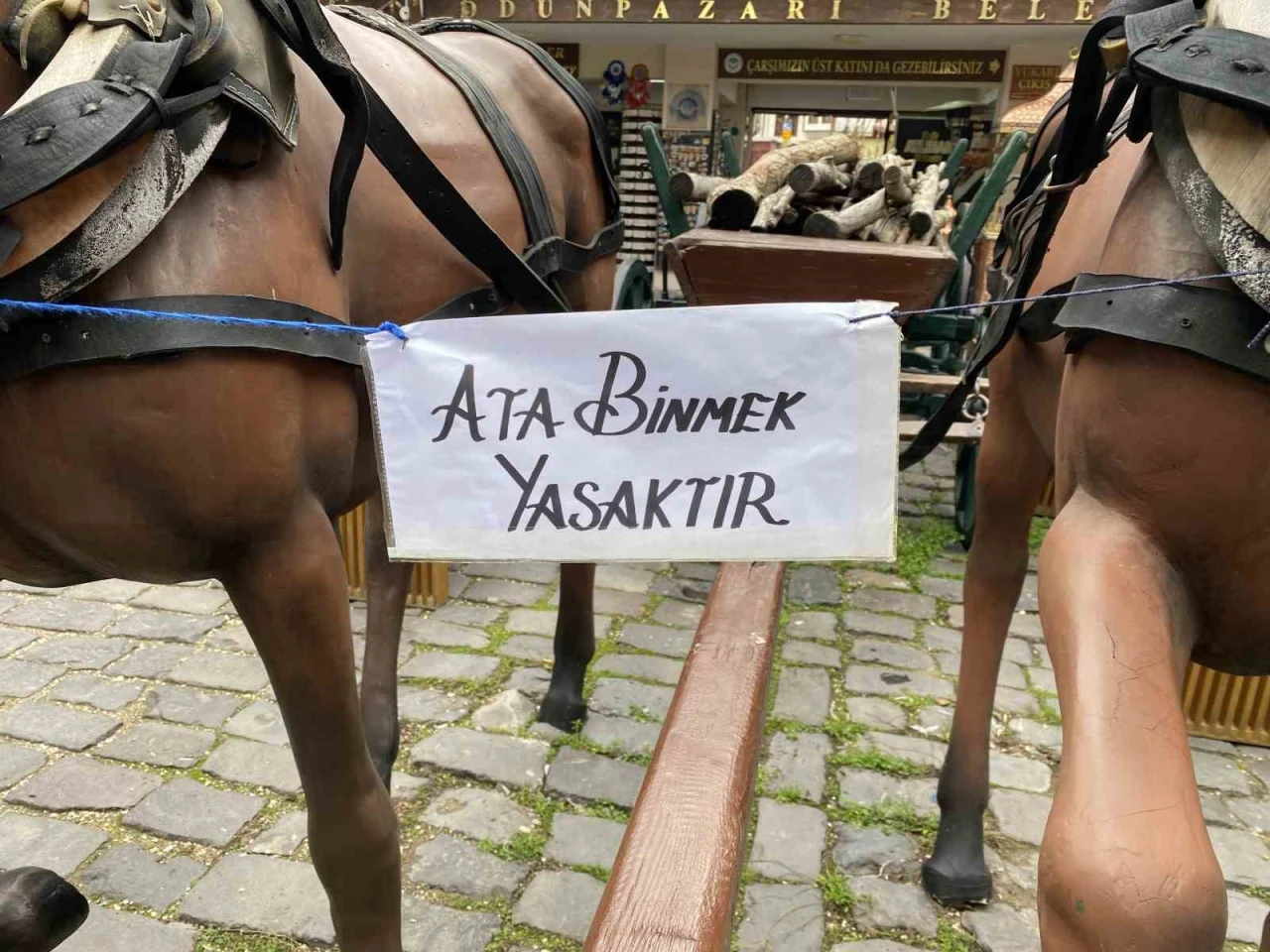 Eskişehir’deki "Ata binmek yasaktır" uyarısı dikkat çekiyor